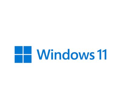 Microsoft Windows 11 Pro DSP