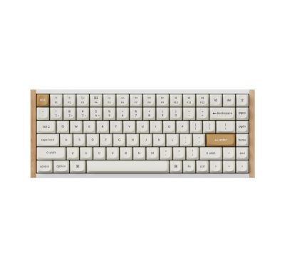 Keychron K2 HE Wireless Special Edition Magnetic Custom Keyboard | NEBULA Switch – White