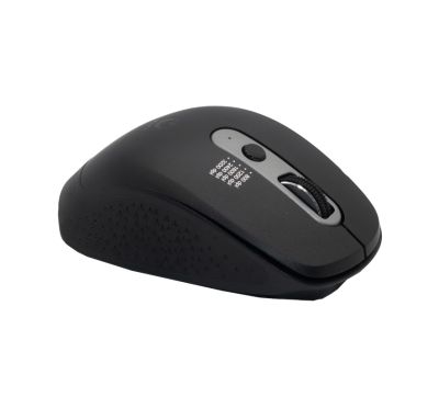 WINX DO More Wireless and Bluetooth Mouse